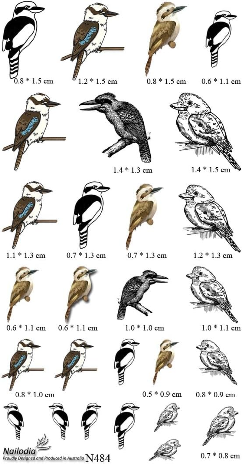 Cute Kookaburra Bird Nail Art Decal Sticker image number 2