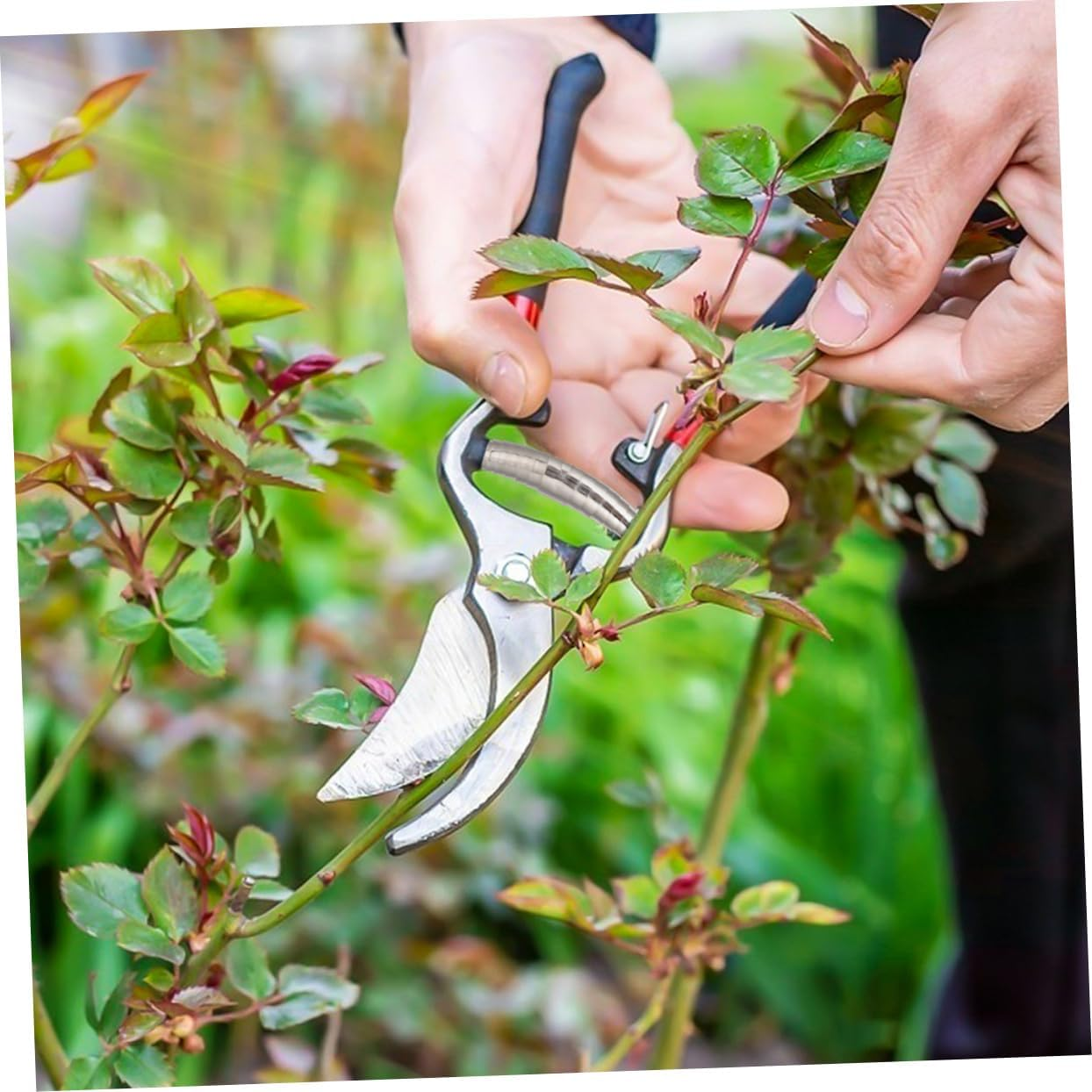 Sosoport 10Pcs Gardening Pruner Replacement Springs Easy Install Lightweight for Garden Tools image number 6