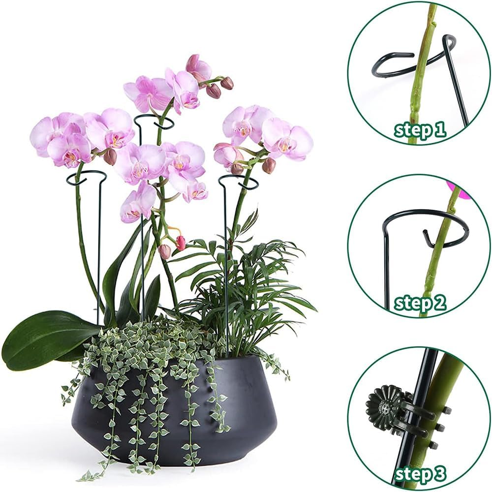 20 Pack 13.8 Inch Green Metal Single Stem Flower Garden Plant Support with 40Pcs Plants Clips, Plant Cage Support Ring for Amaryllis Orchid Peony Rose Tomato image number 3