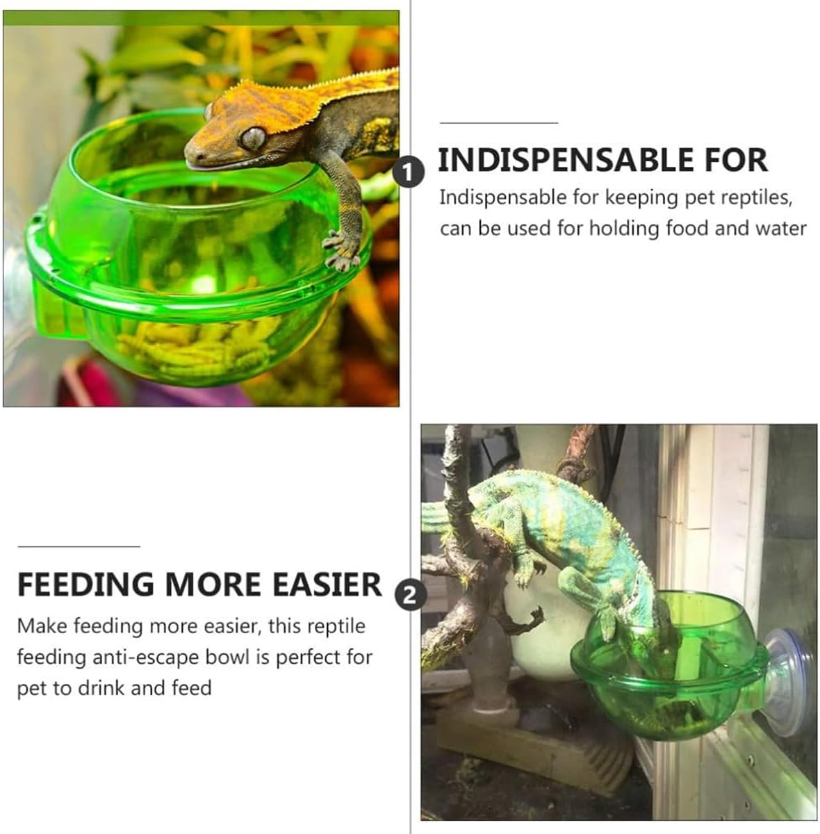 AIMALL 2 PCS Reptile Feeder Anti-Escape Suction Cup Chameleon Bowl Terrarium Food Water Feeding Dish, Double-Layer ABS Design, Easy Installation, Green 3.9 Inch Wall-Mount Bowl for Reptiles image number 6