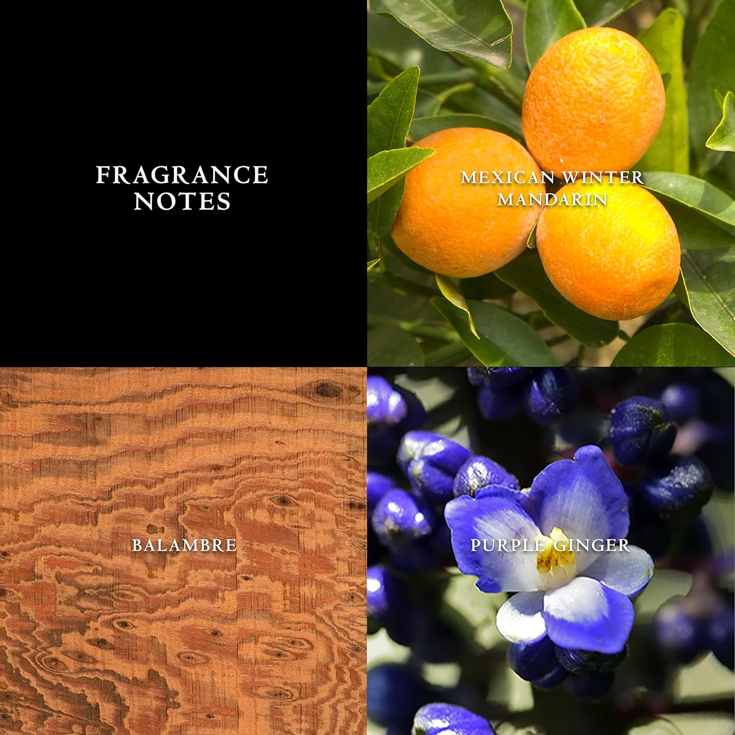 John Varvatos Artisan image number 1