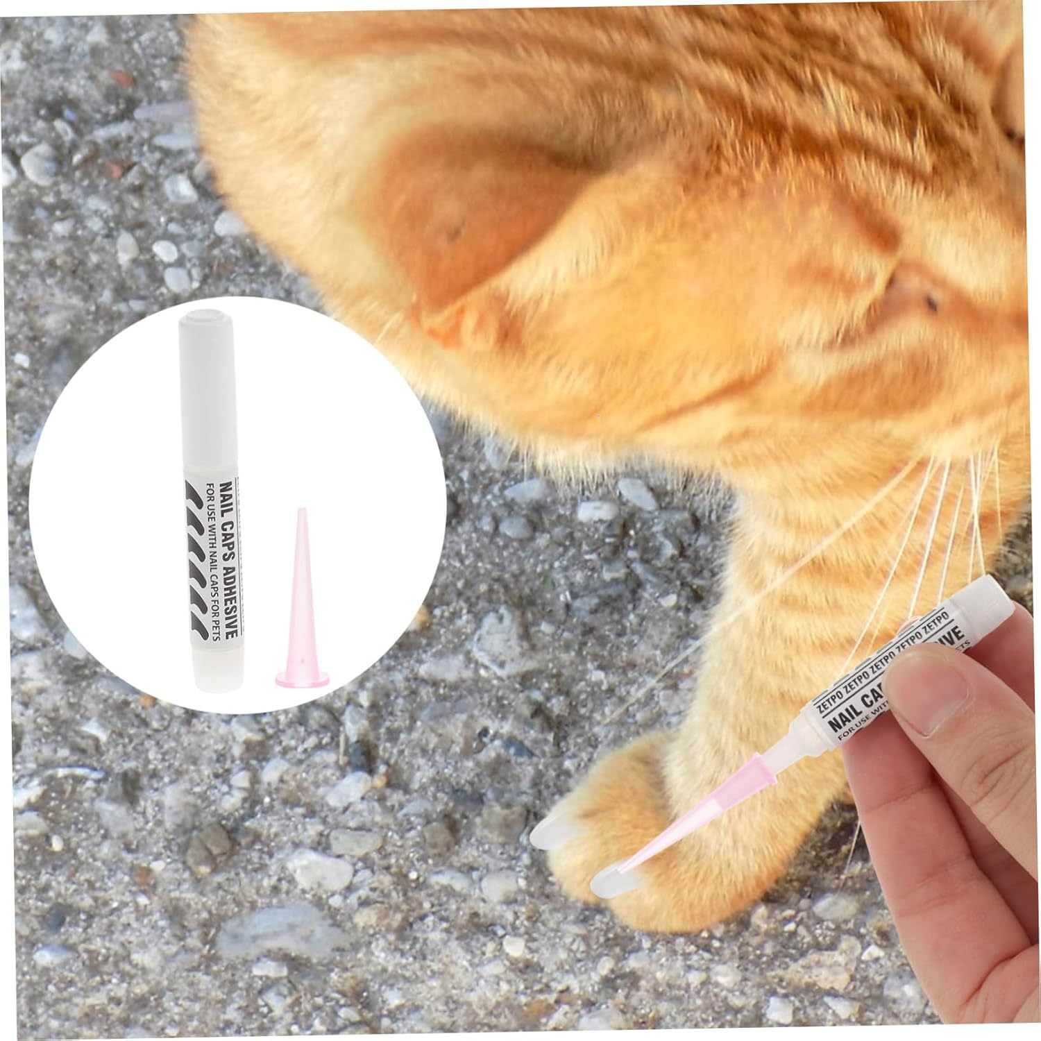 Ipetboom 10Pcs Cat Quick Drying Nail Glue Special Pet Nail Glue Kitten Nail Caps Glue Adhesive Glues for Cat Pet Accessories Pet Adhesive Glue Pointy Soft Claw Nail Set Fingernail