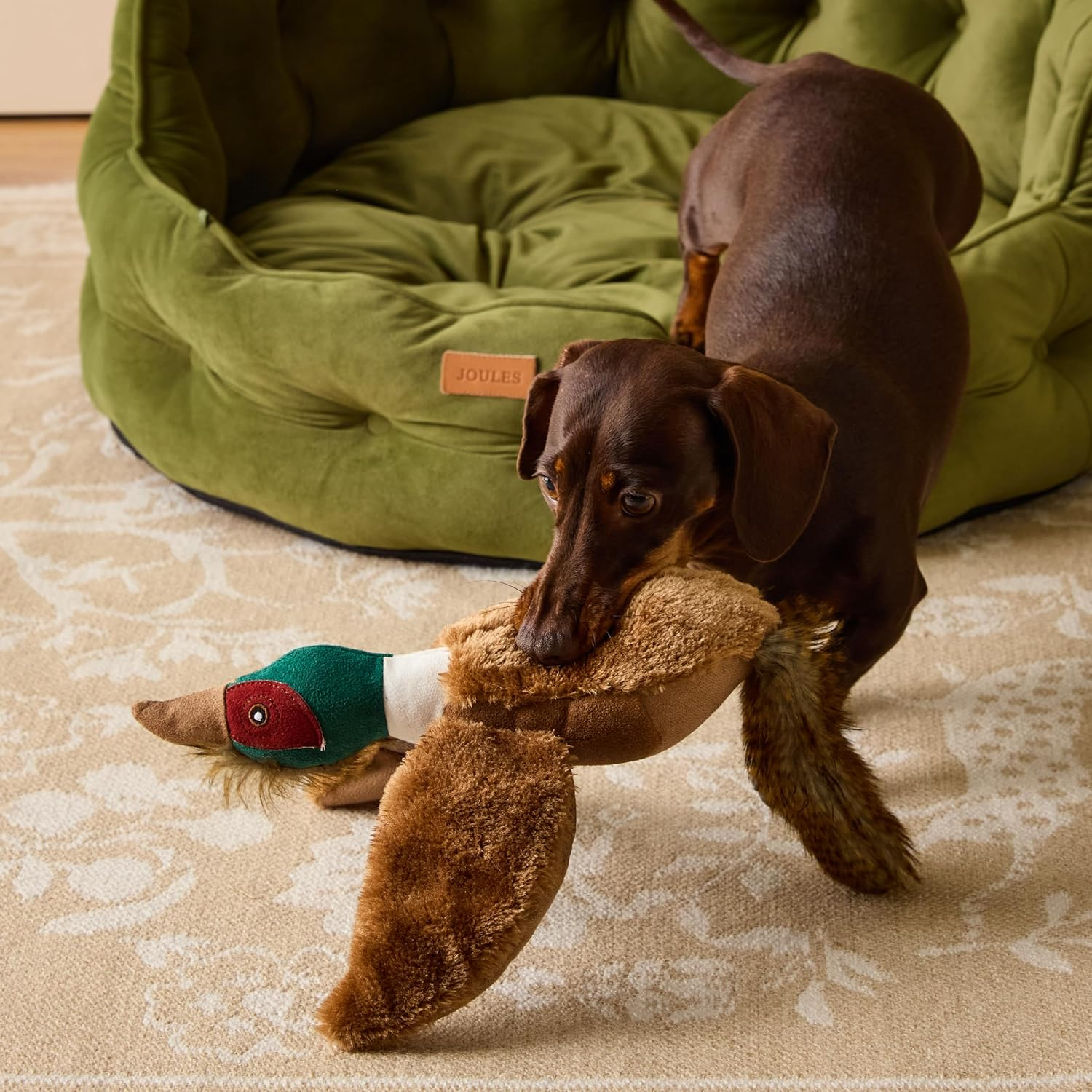 Rosewood Joules Pheasant Dog Toy, One Size, Red, 0.1 Kg image number 5