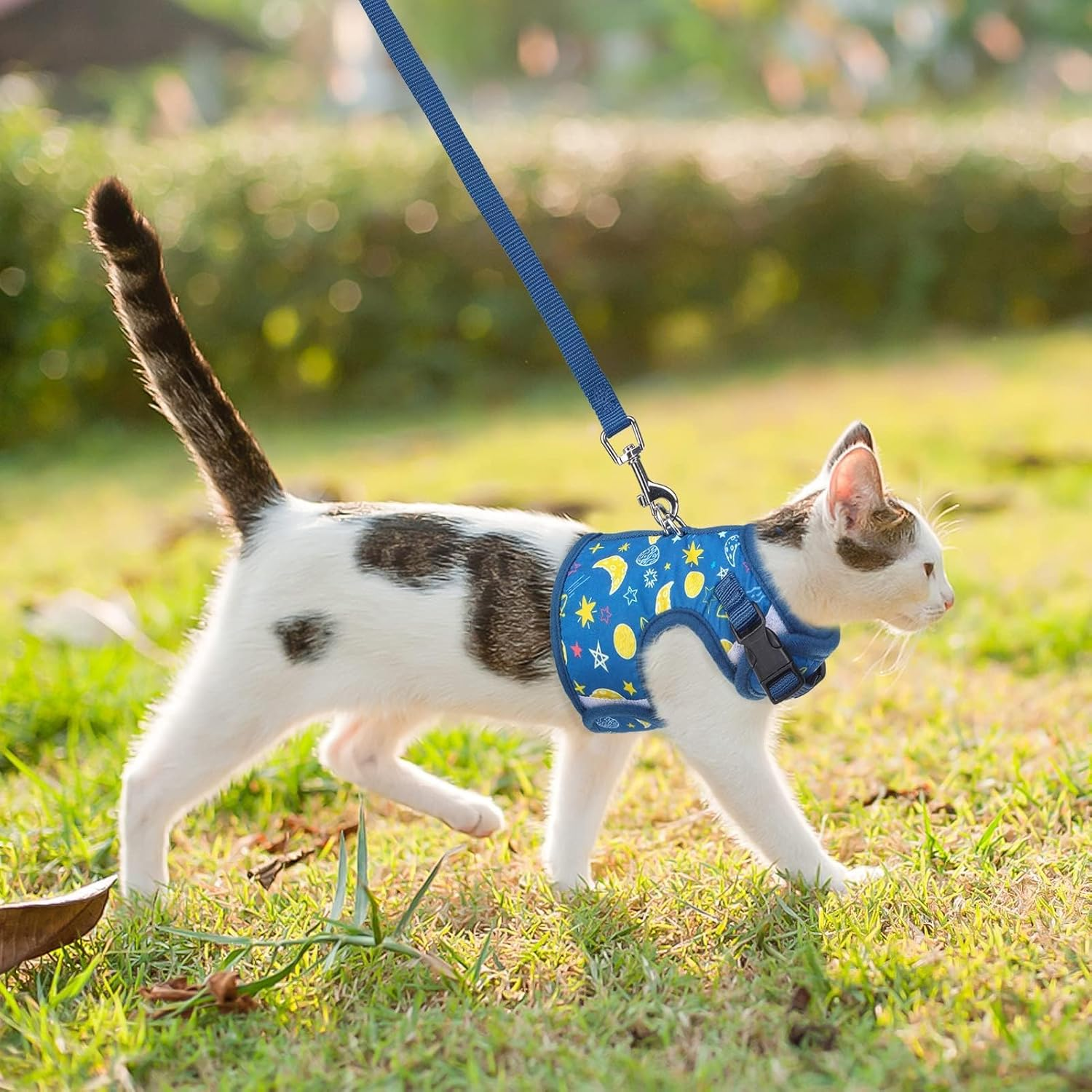 BINGPET Cat Harness with Leash Escape Proof - Fashionable Mesh Cat Dog Walking Harness Leads, Adjustable for Kitties Puppies Small Animals,Galaxy,L image number 2
