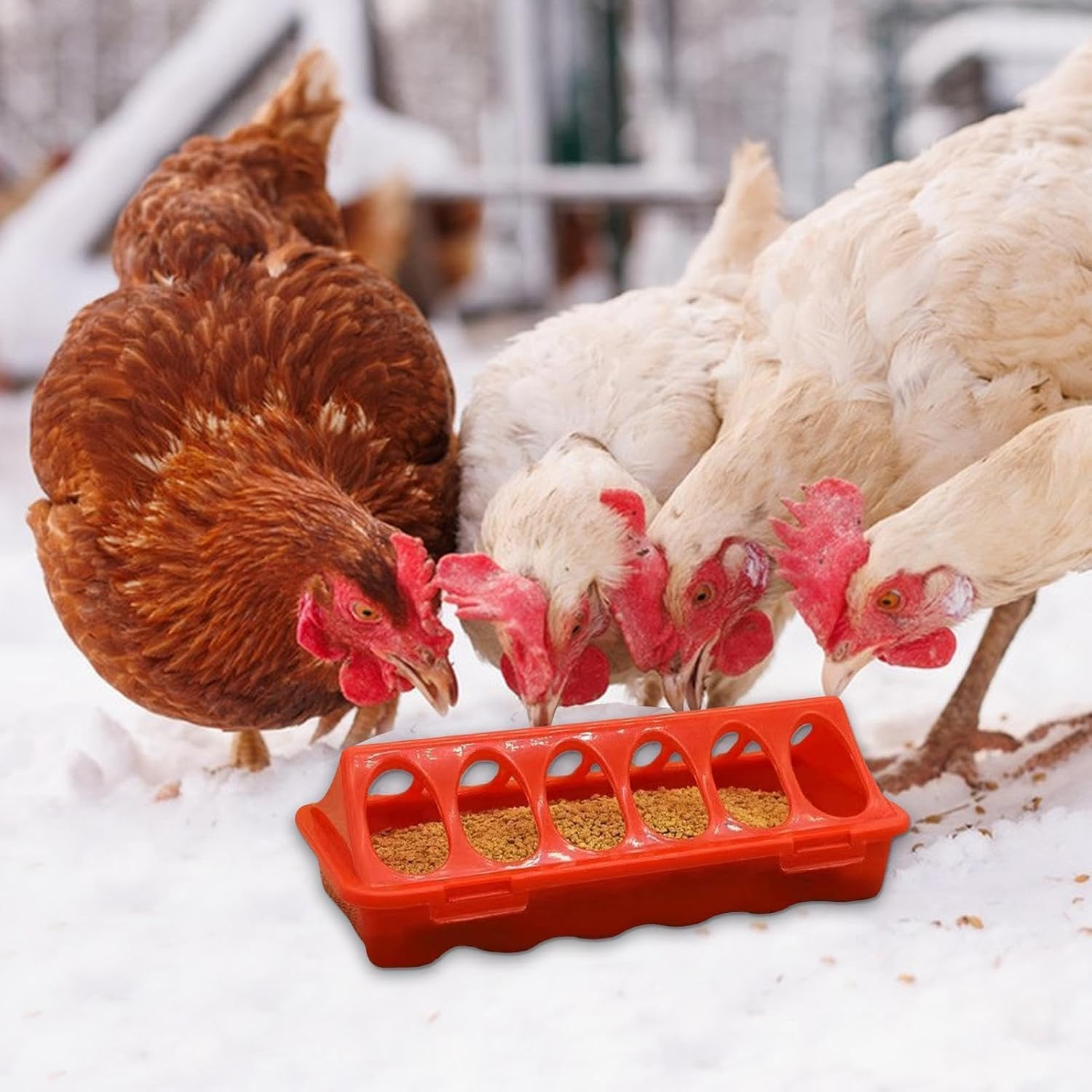 WADY Chick Feeder Waterer, Chicken Feeder, Quail Water Feeder, 6 Slots Duckling Feeder, Bird Feeding Dispenser for Pigeon Parrots Chicks Quail Duck Bird Poultry Animal, Chick Feeder Trough image number 6