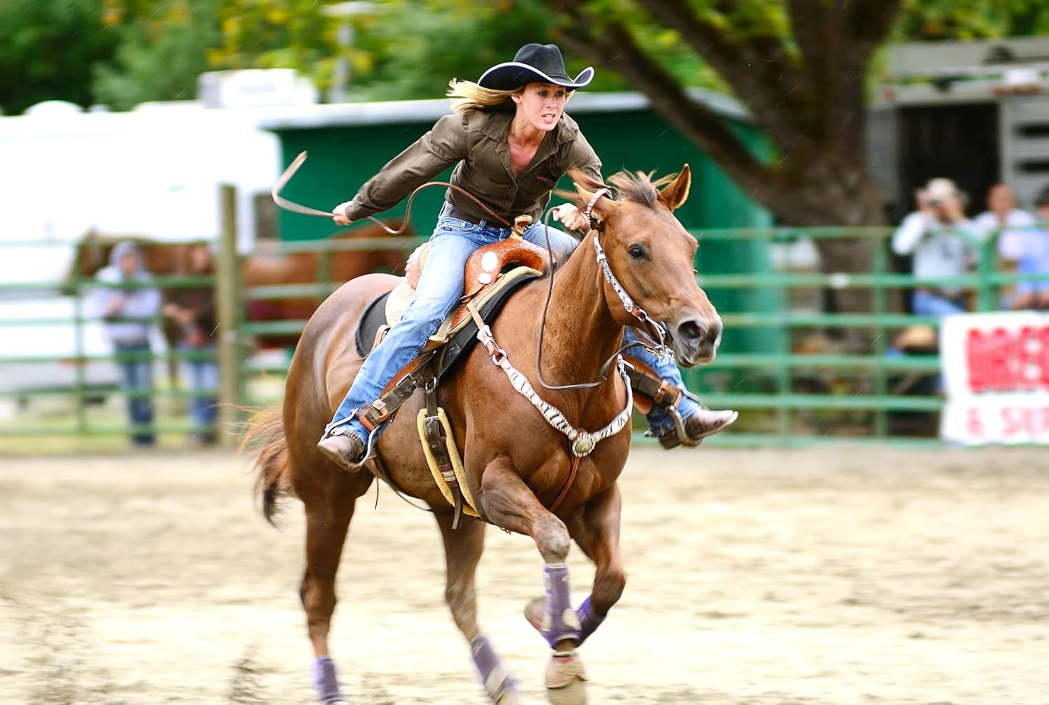 Equine Synergy 'Movin' and Groovin' JOINT COOKIES with TURMERIC for Maintaining Optimal Mobility