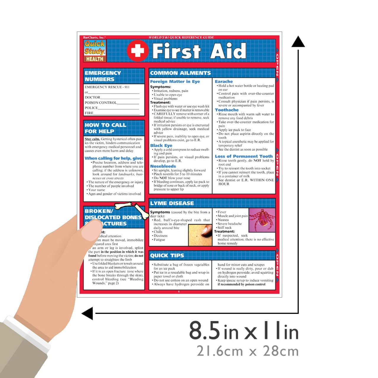 First Aid image number 3