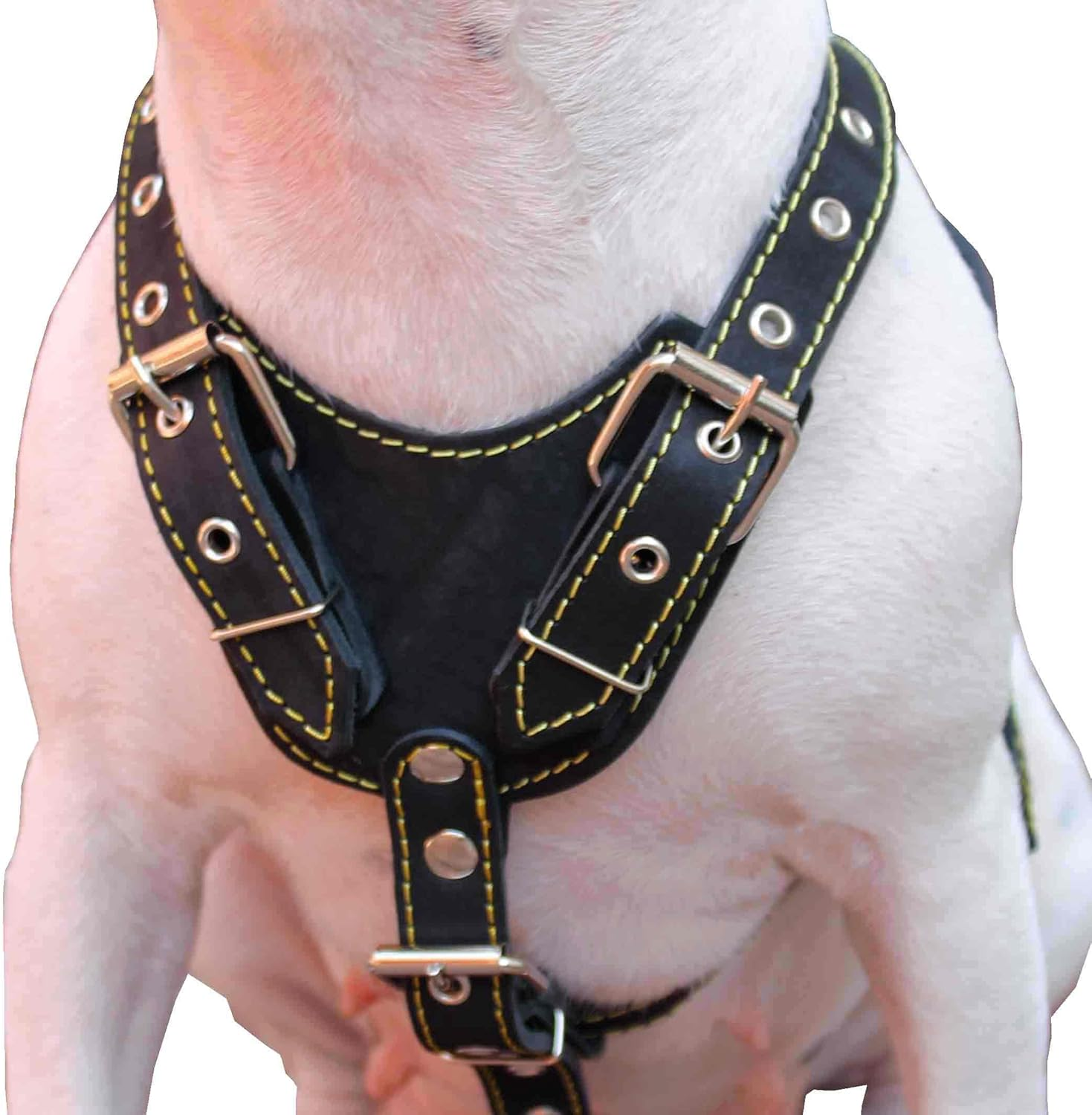 Black Genuine Leather Dog Harness, Medium. 25.5"-29" Chest, 1" Wide Adjustable Straps image number 3