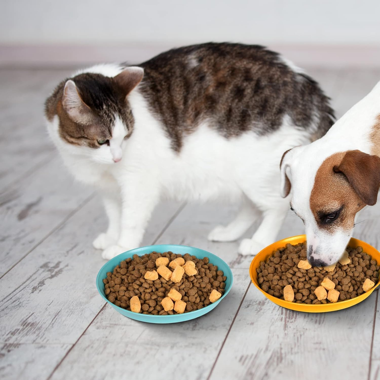 Pack of 8 Cat Bowls for Food and Water, 15 Cm Cat Food Bowl, Cat Feeding Bowl, Cat Bowl