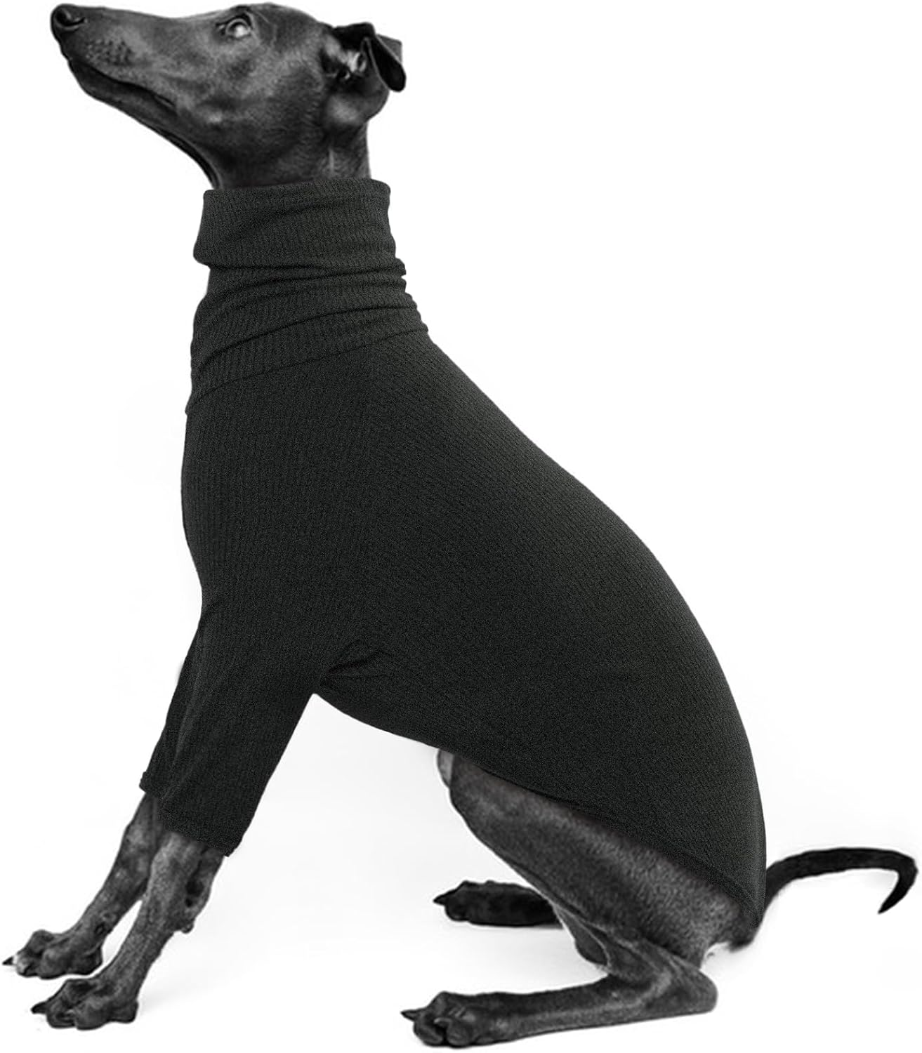 Iecoii Greyhound Sweater, Cozy Italian Greyhound Jumpsuit, Pullover Dog Sweater for Small Dogs, Turtleneck Whippet Onesie Clothes for Spring Fall Outfits, Extra Soft Whippet T Shirts with Sleeves, XS