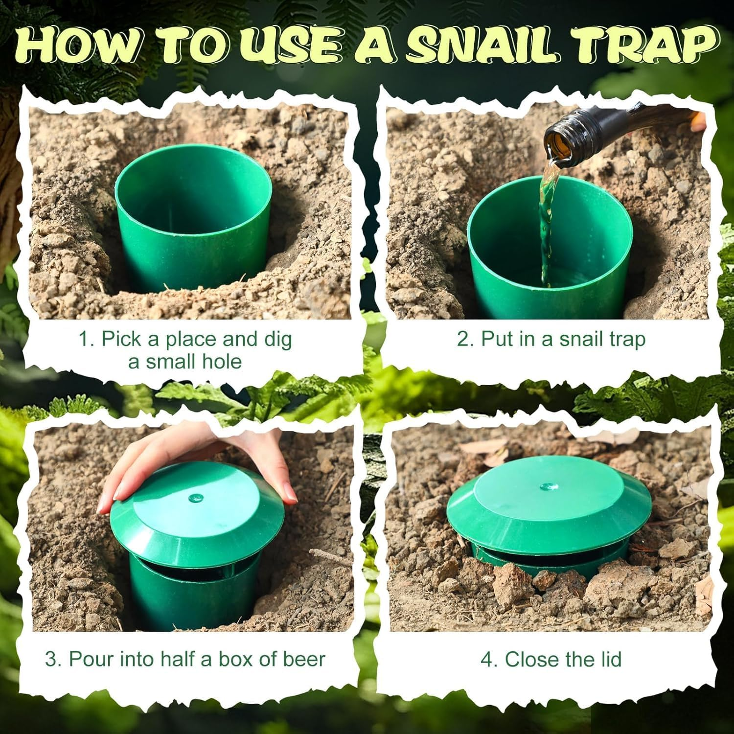 Qualirey Beer Slug Snail Traps, Plastic Garden Catcher, 11.3 X 9.5 Cm, Reusable House Trapper, 5 Pack image number 4