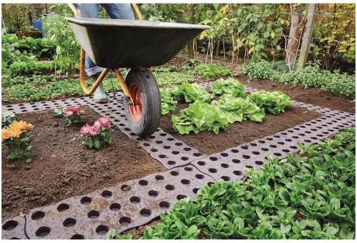 Garantia Vegetable Garden Maxi Board (Pack of 4) image number 2