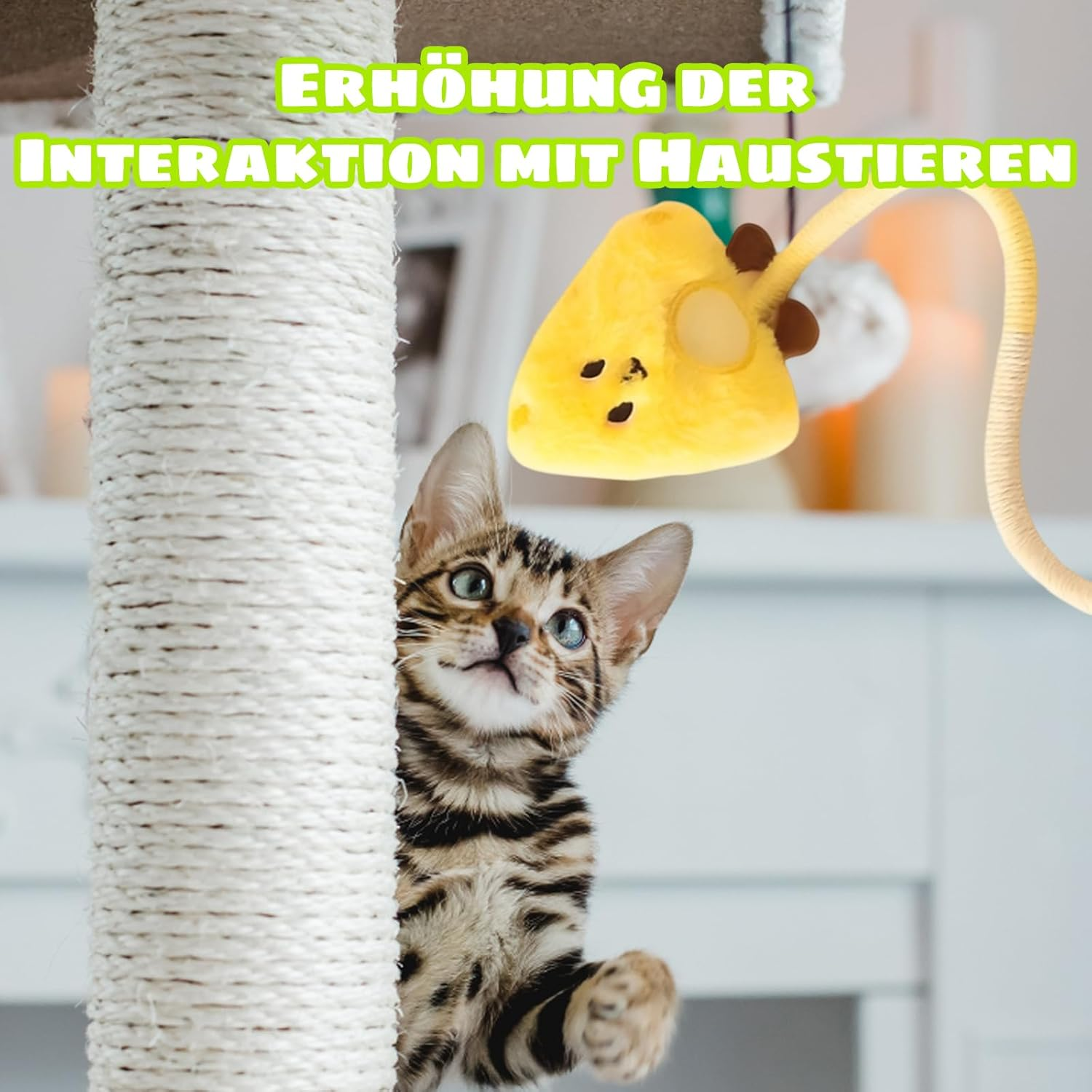 Zexjpr Pack of 2 Interactive Cat Toys, Cat Toy, Self-Employment for Dental Care and Stress Relief, Interaction with Pets Improves Feelings and Relieves Boredom image number 4