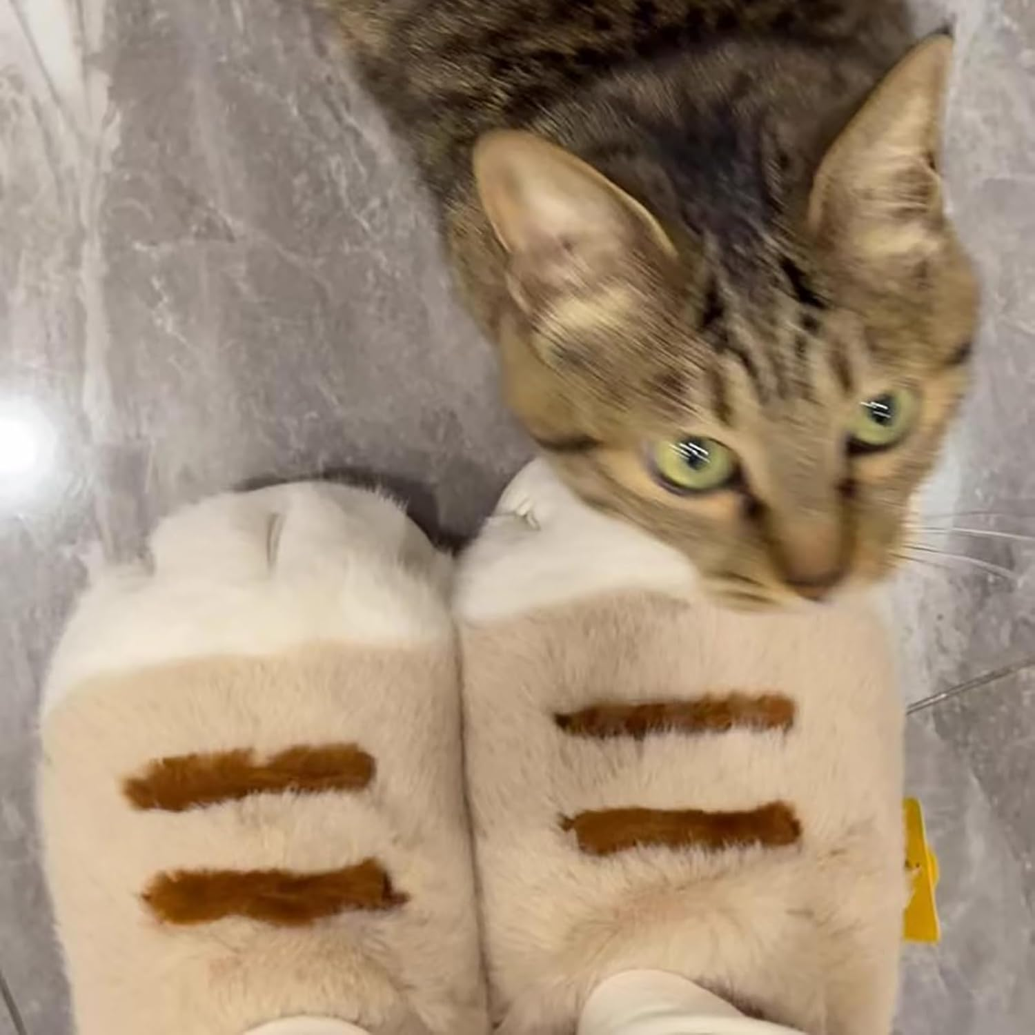 Plush Cat Paw Slippers，Non-Slip Soles, Cozy and Cute Slippers image number 4