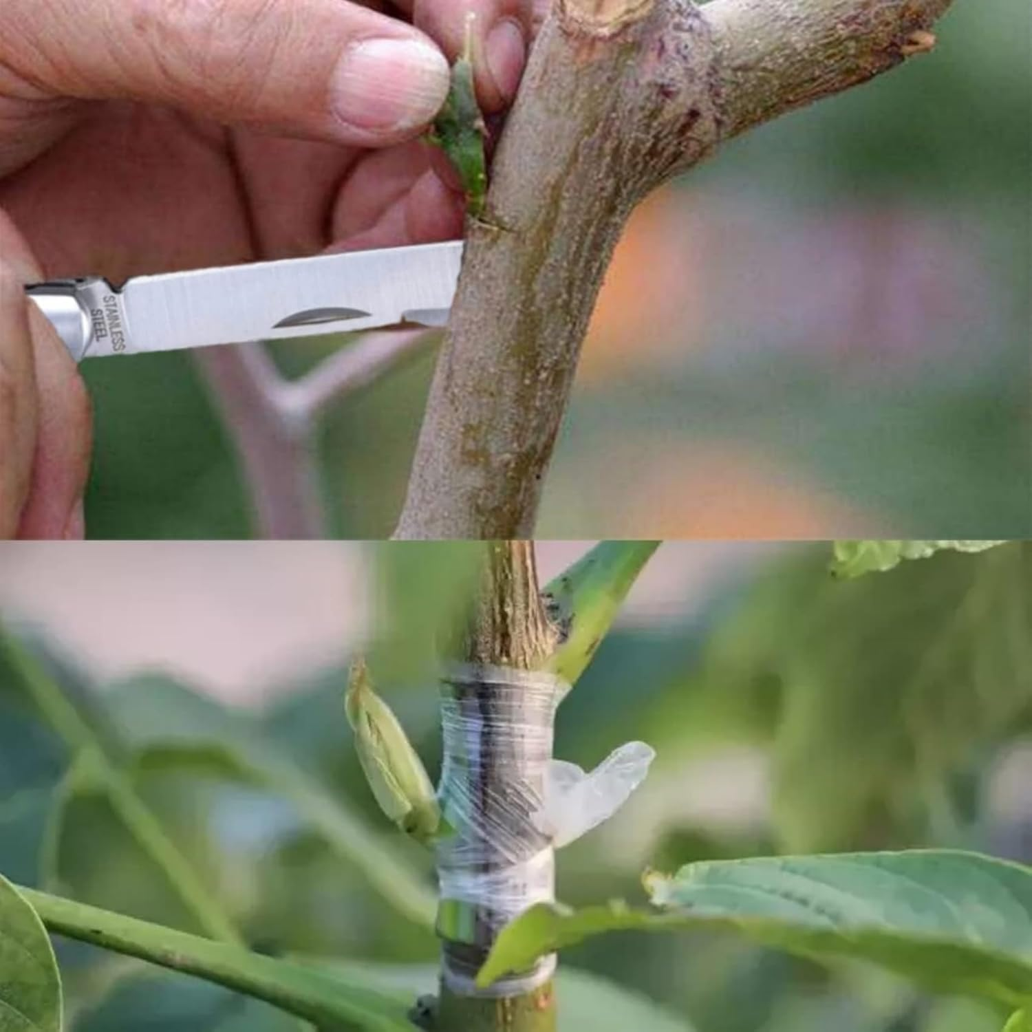 Stainless Steel Grafting Knife Kit, Flexible Double-Blade Garden Knife for Budding and Pruning, Includes 2 Plant Repair Tapes for Floral and Fruit Trees image number 5