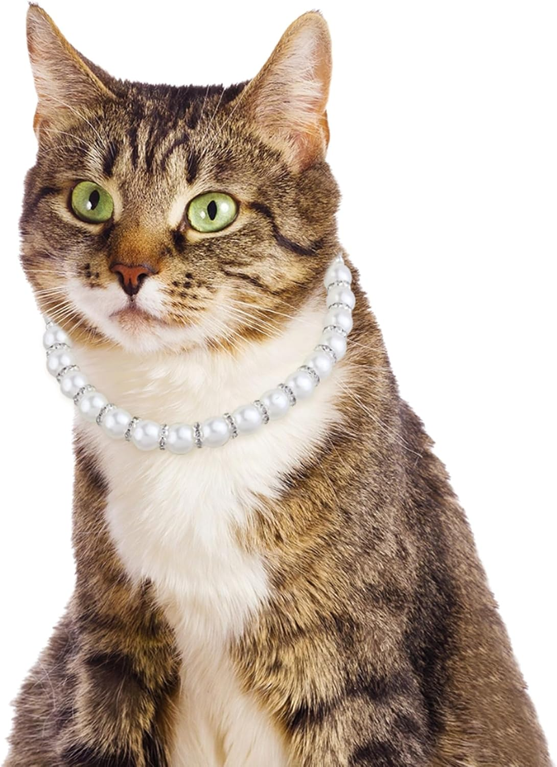 Dog Cat Pearl Collar,Rhinestones Cat Necklace Collar Cute Pearl Crystal Dog Collar Pearl Diamond Dog Necklace Jewelry for Small Dog Cat Wedding Birthday Party (White, M) image number 2