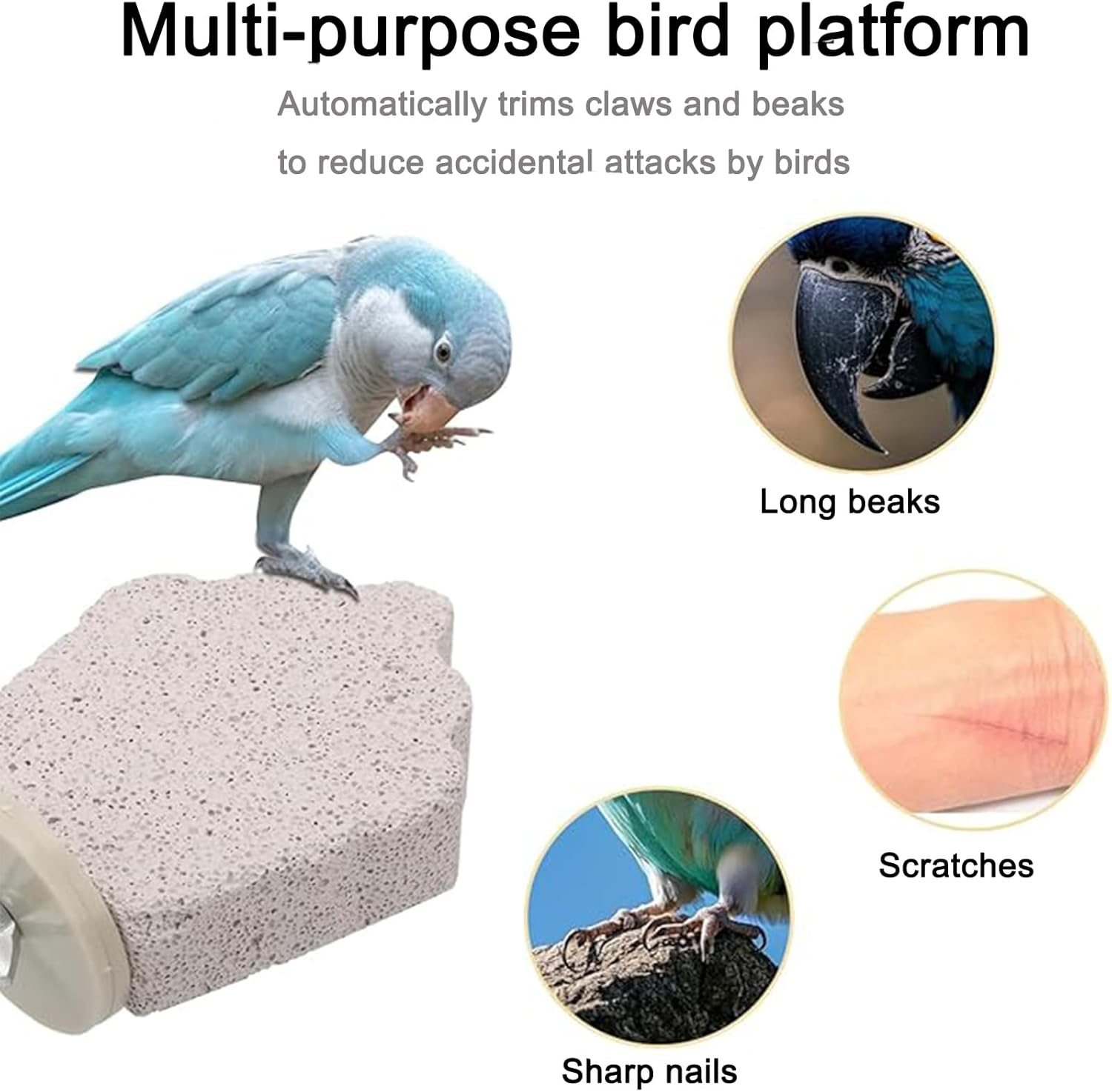 4Pcs Bird Perch Stands with Beak Grinder & Calcium Stone for Small Birds - Cockatiel, Lovebird, Conure (Gray, Grapes) image number 3