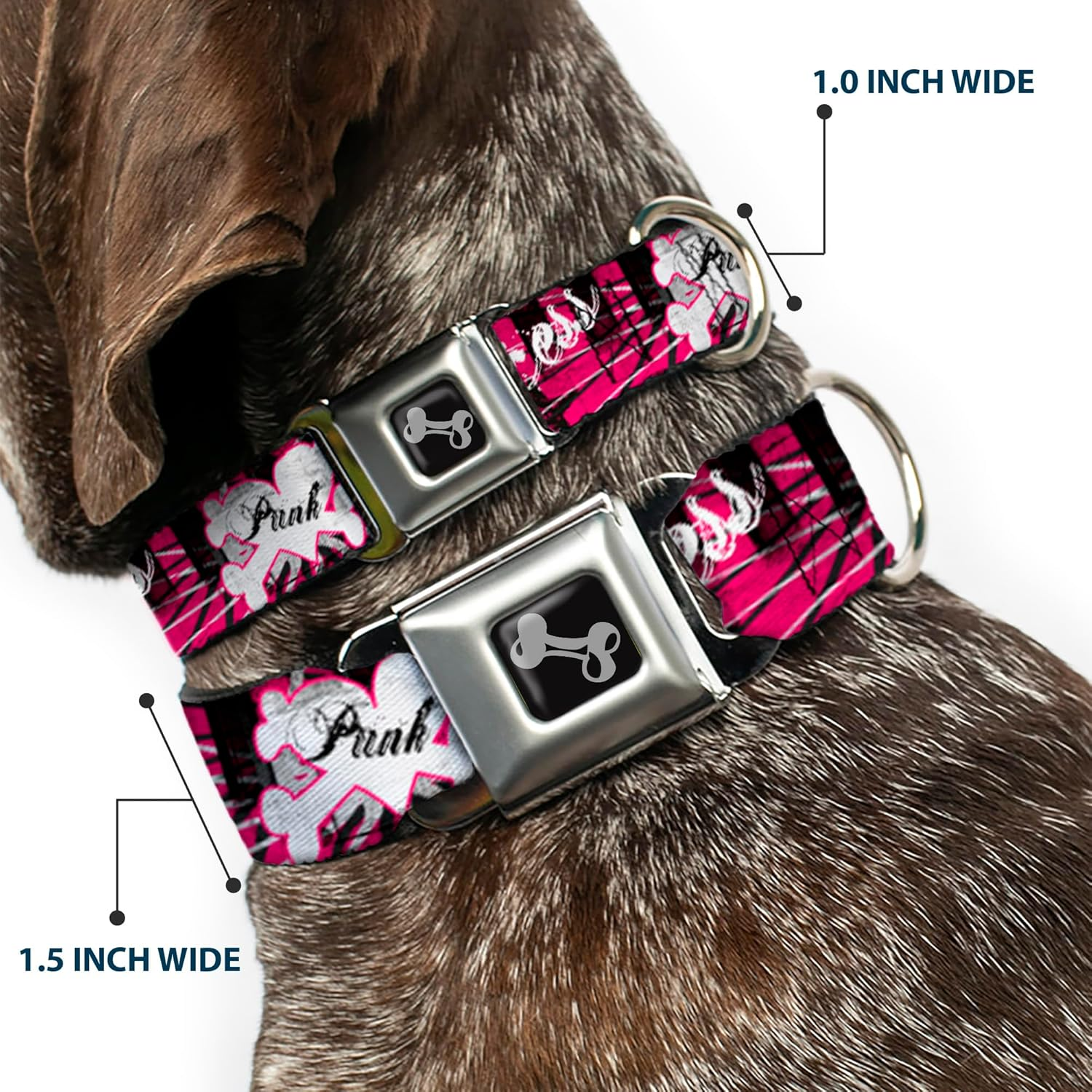 Buckle-Down Seatbelt Buckle Dog Collar - Punk Princess W/Piano Keys - 1" Wide - Fits 15-26" Neck - Large image number 5
