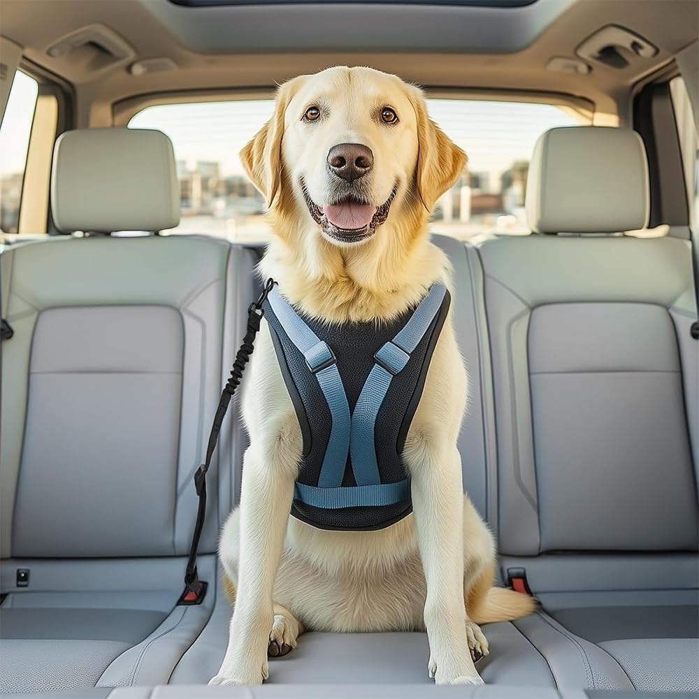 3 PCS Set Black Retractable Dog Car Leash, Adjustable Safety Dog Seat Car Harness,Thickened Dog Seat Belt for Car,Nylon Pet Safety Seat Belts Heavy Duty & Elastic,Seat Belt for Large Dogs in Car