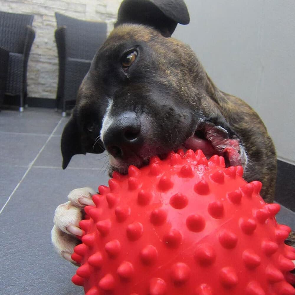 Aussie Dog Products 18Cm Mitch Interactive Hard Ball Pet Play Toy Outdoor Red M image number 4