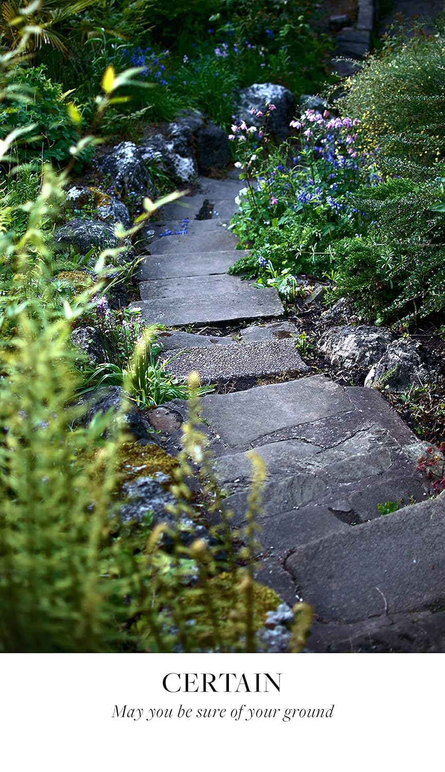 Earth Blessings Oracle Cards: Connect with the Healing Power of Nature (A 48 Card Deck with Guidebook) image number 1