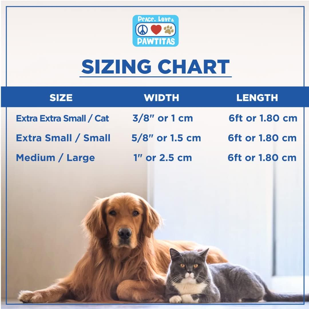 Pawtitas Solid Color Leash Puppy Leash Dog Leash Comfortable Handle Dog Training Leash 6 Ft Dog Leash Medium/Large Lush Green image number 4