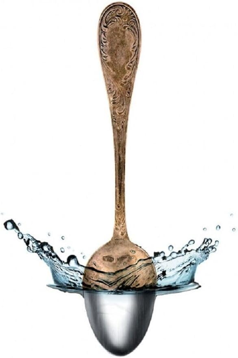 Silver Bath Pro 580Ml 101159