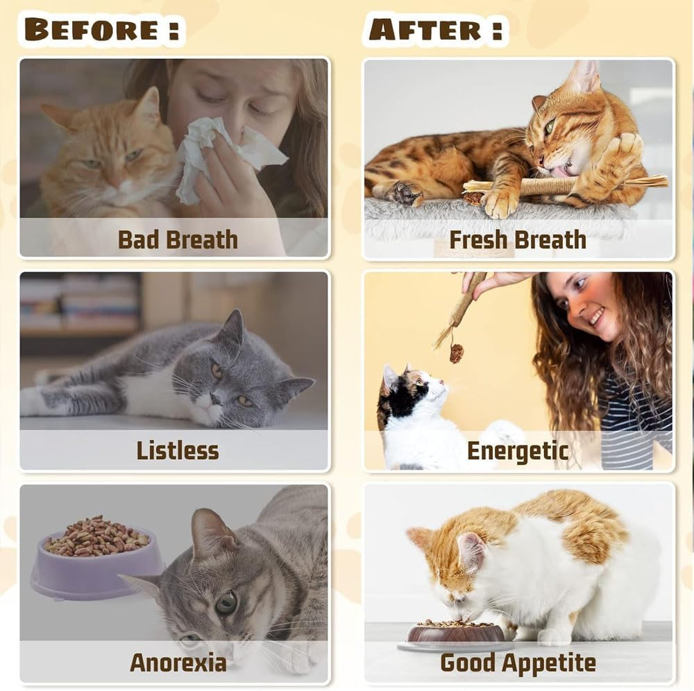 Aufondof 6Pcs Natural Silvervine Sticks, Cat Dental Chew Sticks Cat Toys for Indoor Cats Kitten Teething Toys Teeth Cleaning Toy image number 6