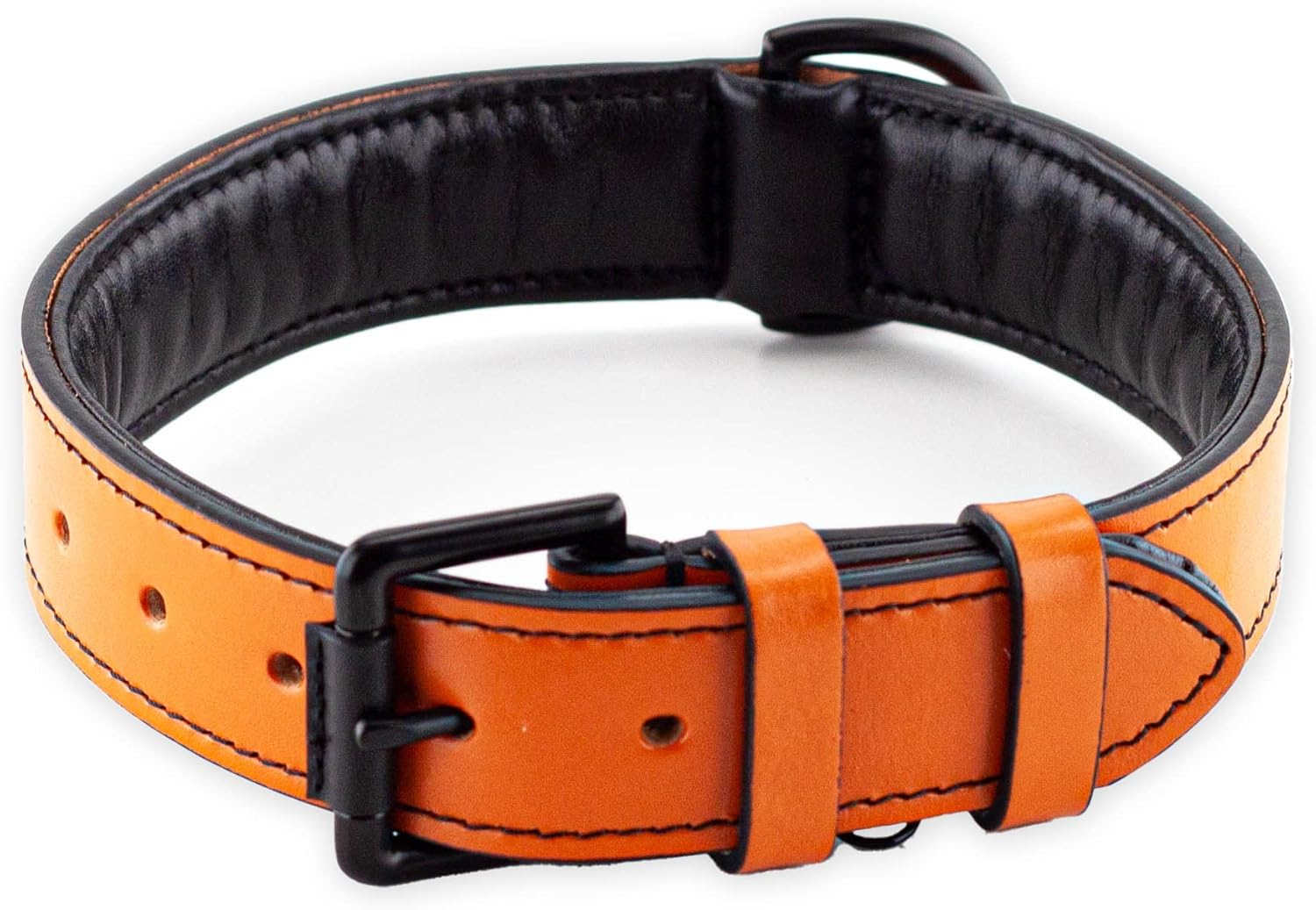 Brute Strength - Leather Dog Collar - Orange - M - Fits 14 3/16" and 16 15/16" Neck - Dog Tag Ring - Full Grain Heavy Duty - Soft Padded - Handmade - Dog Collar for Medium Dogs