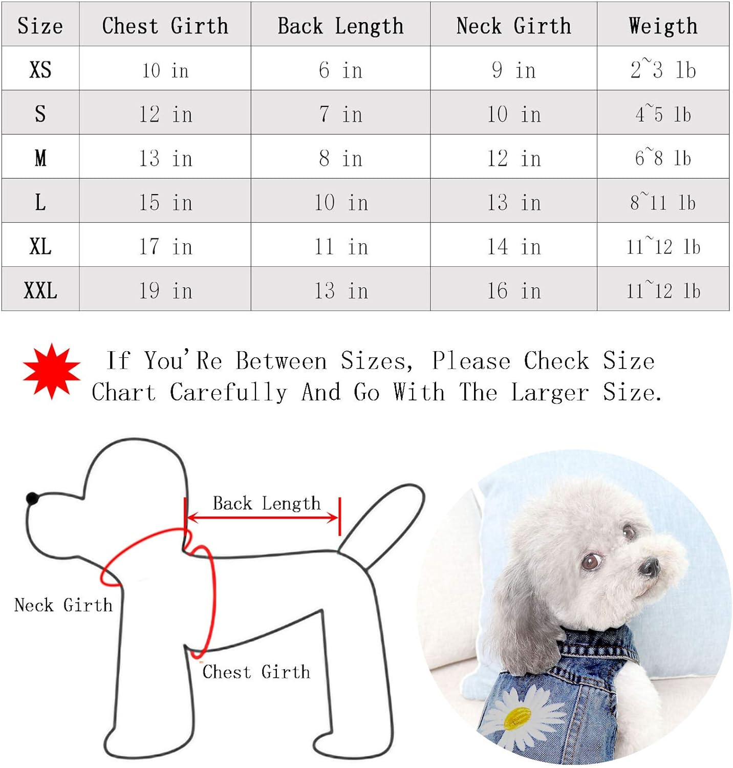 Fuqibasics Pet Clothes Dog Jeans Jacket Cool Blue Puppy Denim T-Shirt for Small Medium Dogs Cats Lapel Vests Classic Vintage Washed Dog Clothes Scratch Design Adorable Dog Shirt image number 3