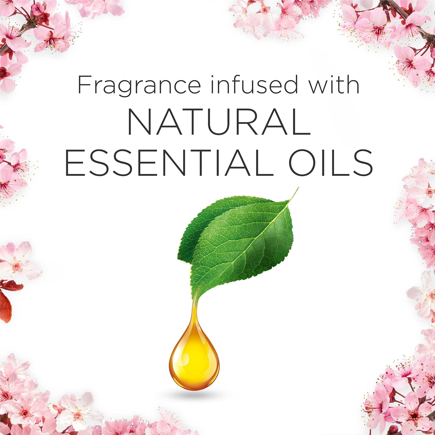 Air Wick Pure Scented Oil Diffuser with Cherry Blossom Refill 19 Ml image number 5