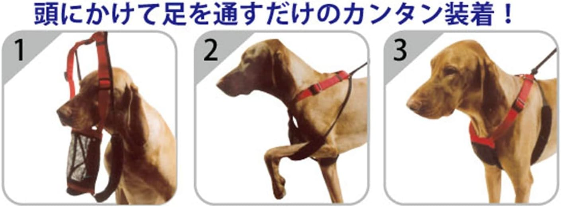 Platz the Spawn Company Sportswn Dog Harness, Mesh Harness, M, Red image number 2