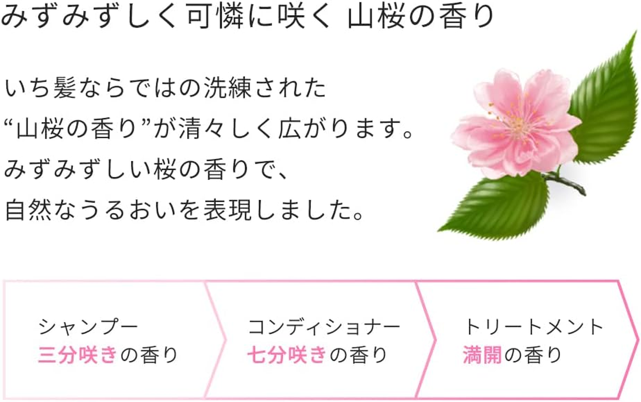 ICHIKAMI [Smooth Smooth Care] Shampoo, Large Capacity, Refill, 660Ml | Non Silicone Amino Acid Shampoo, Hair Care, Damage Care, Men'S, Women'S