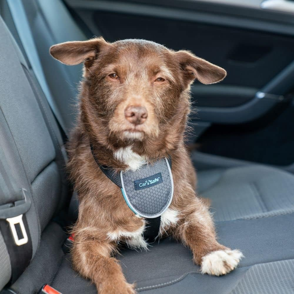 Carsafe Dog Travel Car Harness - from the Makers of Halti. Safely Secure Your Dog in the Car, Ensures Road Laws and Insurance Terms When Travelling with Your Pet, for Toy, Small, Medium and Large Dogs