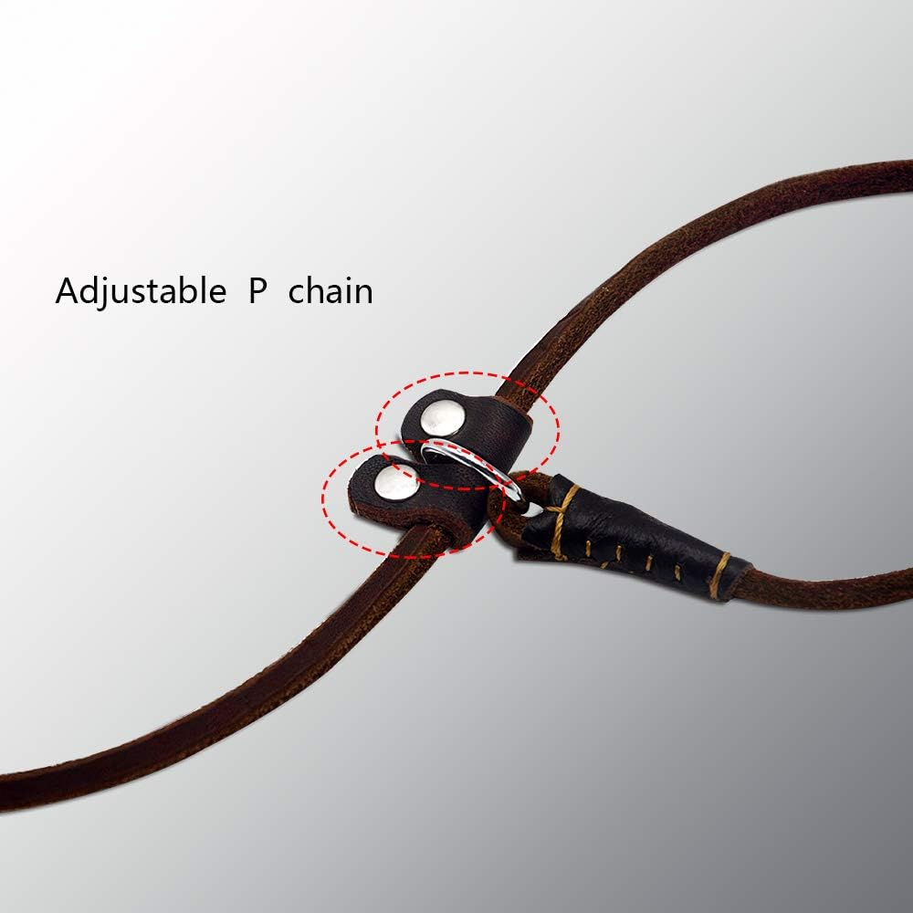 Wellbro Luxury Genuine Leather Slip Dog Leash Deluxe Slip Lead with Adjustable Collar Soft Touch and Exquisite Suit for Small Medium Puppies 160Cm Length by 0.6Cm Wide Brown - Basic Leash image number 3