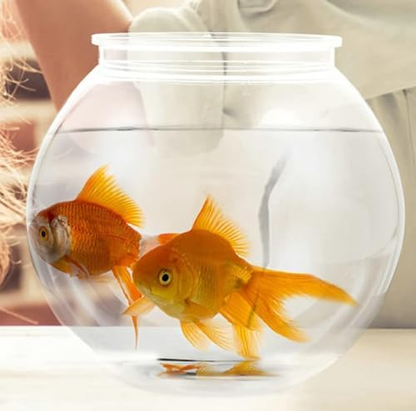 Mobiclinic&reg; Pets, Nemo, 4 Litres, PET ECO Plastic, Transparent Design, 20 X 20 X 17.5 Cm, Easy to Clean, Robust, Ideal for Home Decoration, Aquatic Plants