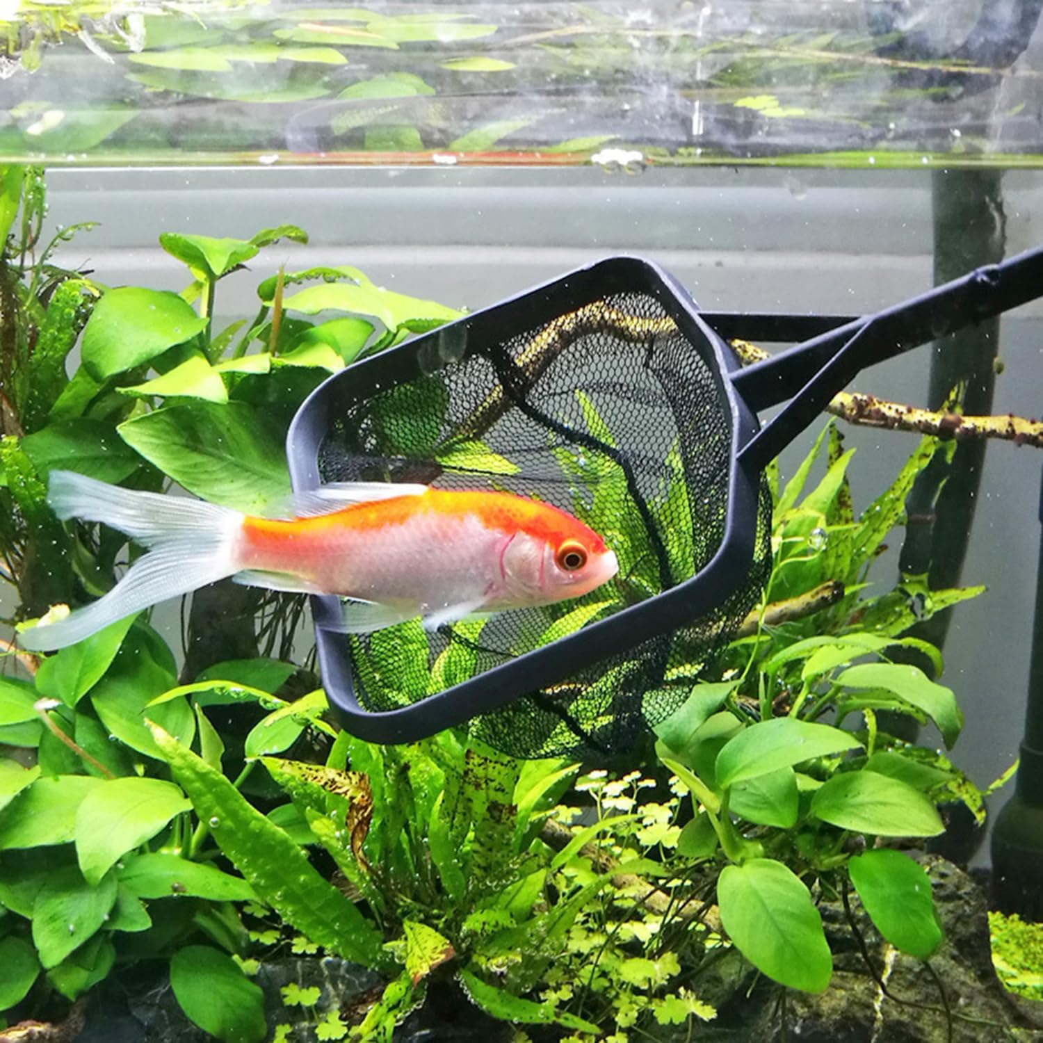 Yamibobo Portable Long Handle Aquarium Fish Tank Fishing Net Square Aquarium Fishing Net Landing Net Fish Floating Objects Cleaning Tools image number 5