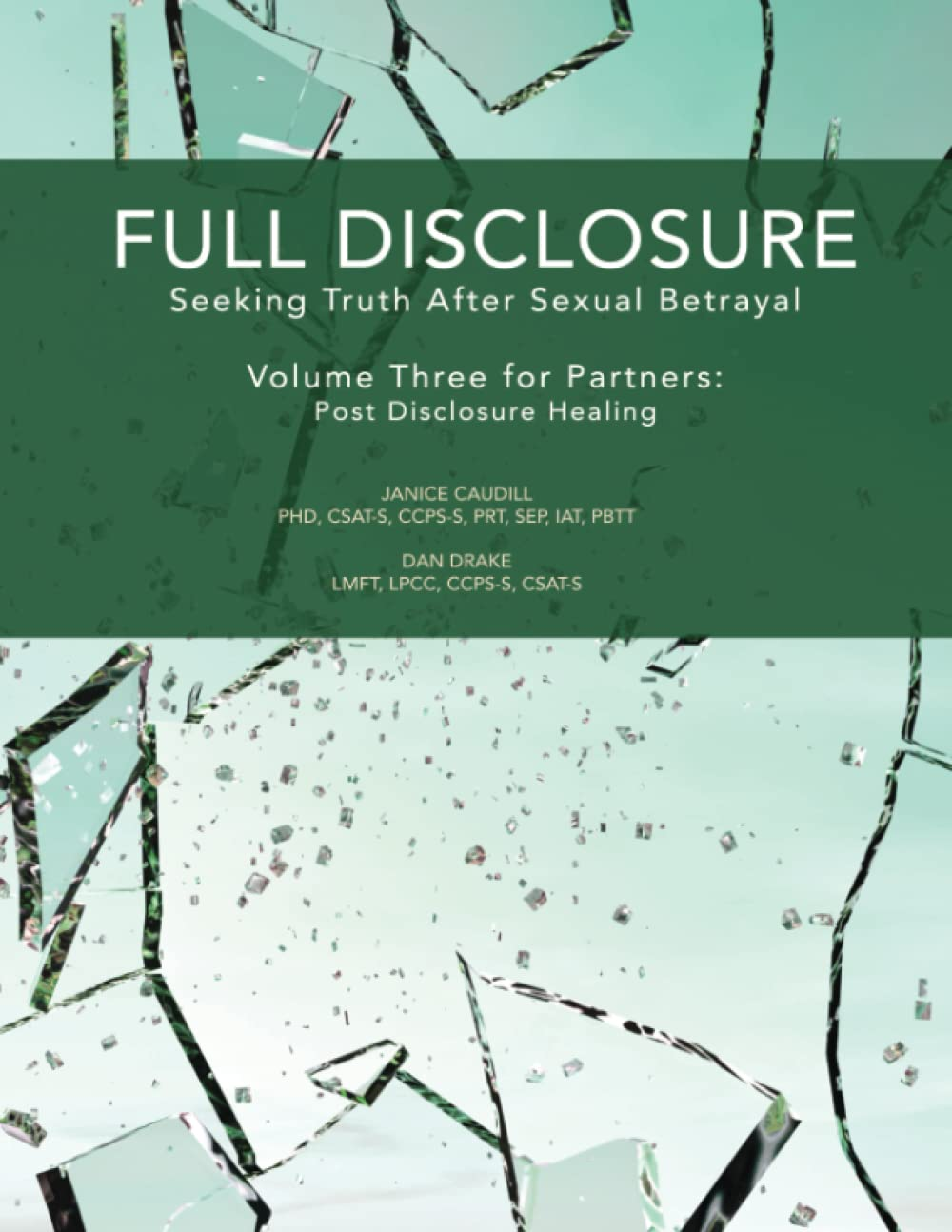 Full Disclosure: Seeking Truth after Sexual Betrayal: Volume Three for Partners - Post Disclosure Healing image number 1