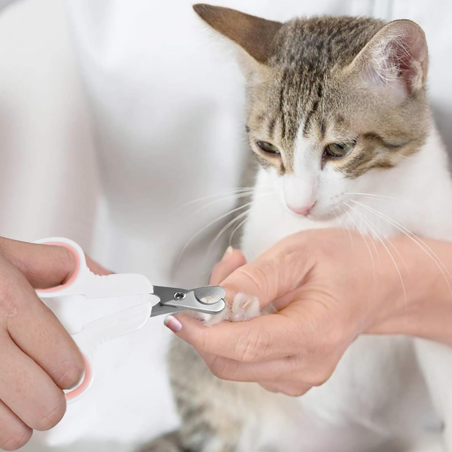 Professional Cat Accessories, Dogs, Rabbits and Small Animals - Safety Stainless Steel Nail Clippers - Claw Scissors Rabbits - Dog Claw Cutter - Ldeal for Beginners - Pink image number 1