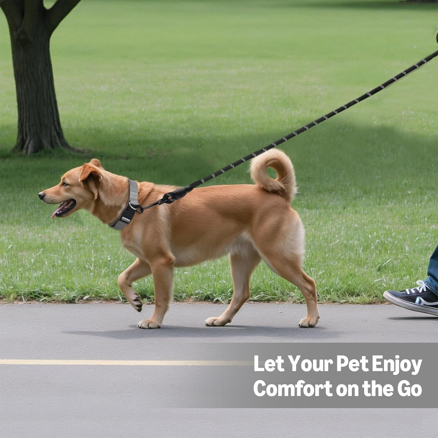 Training Leash for Dogs, 3M (10FT) Strong Rope Dog Lead Leash with Soft Padded Handle & Heavy Duty Hook, Reflective Recall Training Lead for Small Medium Large Dogs(Black) - Blue image number 3