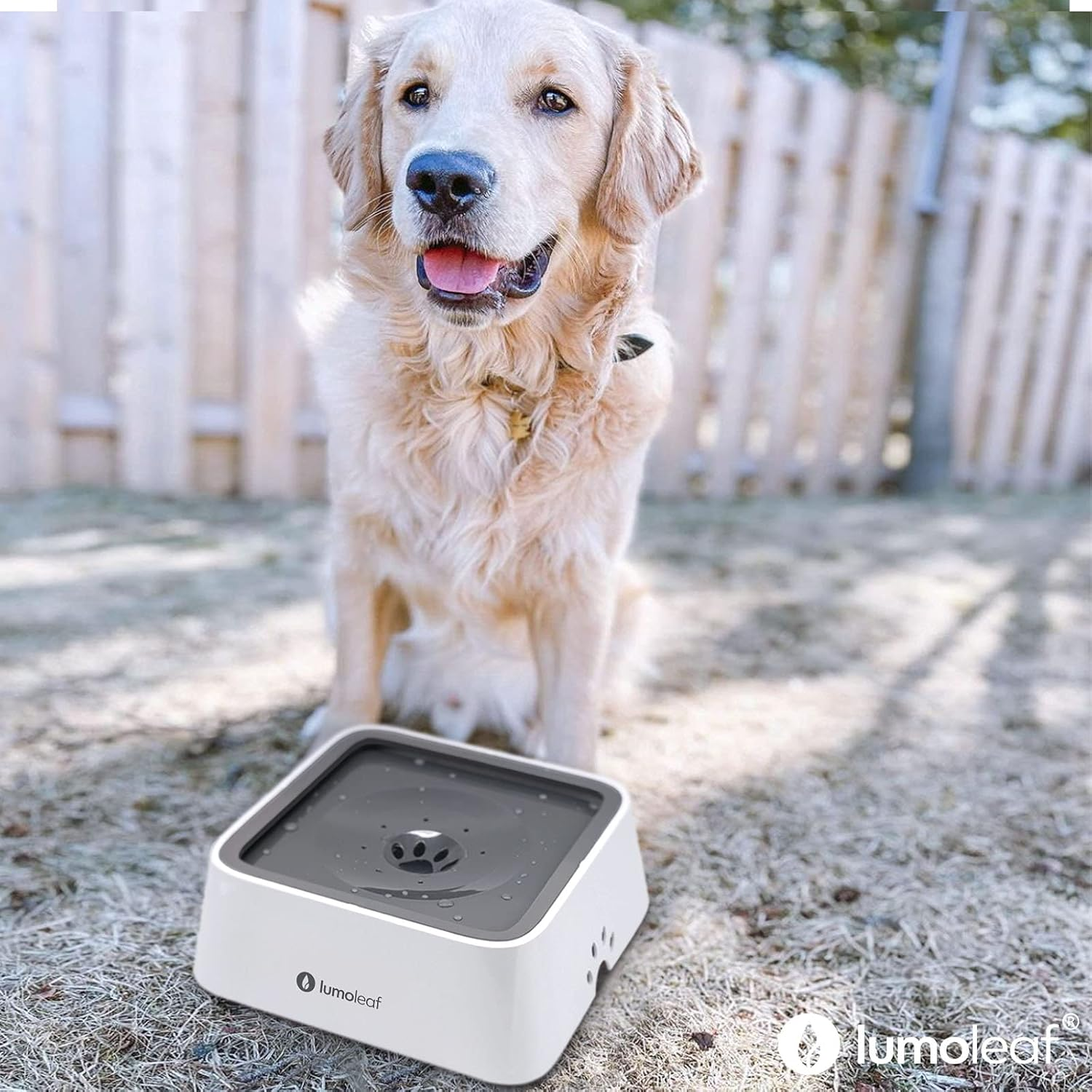 Lumoleaf No Spill Water Bowl for Dogs with Filter, 70Oz/2L, Slow Feeder for Messy Drinkers, Drip-Free & Splash-Proof Design (Grey, 70 Fl Oz) (Grey 70 Fl Oz) image number 6