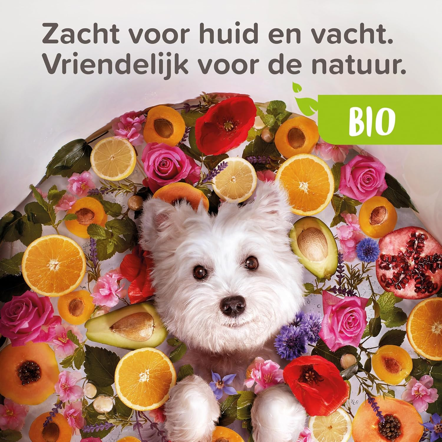 Beaphar ECOCERT Dry Shampoo for Dogs and Cats - Contains Aloe Vera, Bourretch Oil and Organic Mint - Ph Neutral - No Parabens/Silicone/Colours/Alcohol - 200 Ml image number 6