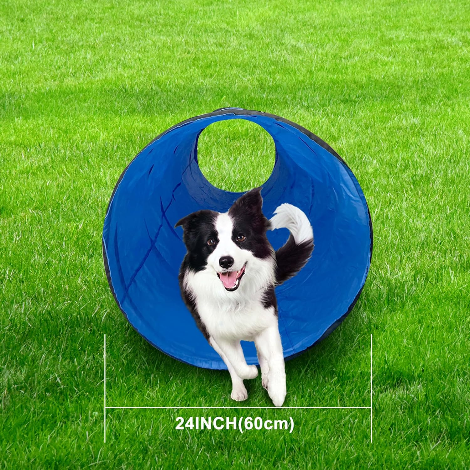 MYDAYS OUTDOOR Dog Agility Tunnel，Dog Training Chute，Protable Dog Training Tunnel with Carry Bag (Blue)
