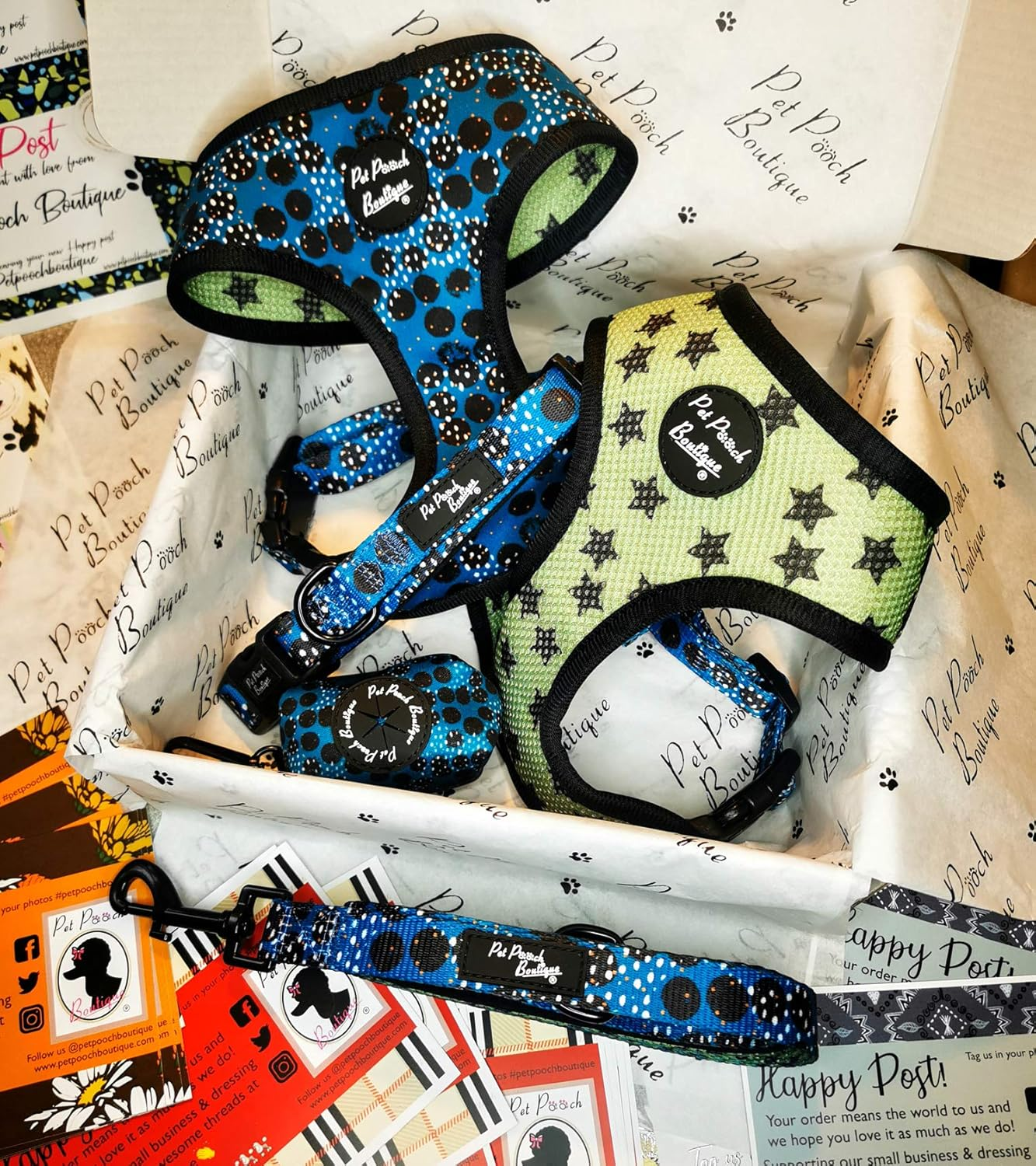 Pet Pooch Boutique Royal Rock Star Dog Collar, Medium, 0.3 Kg