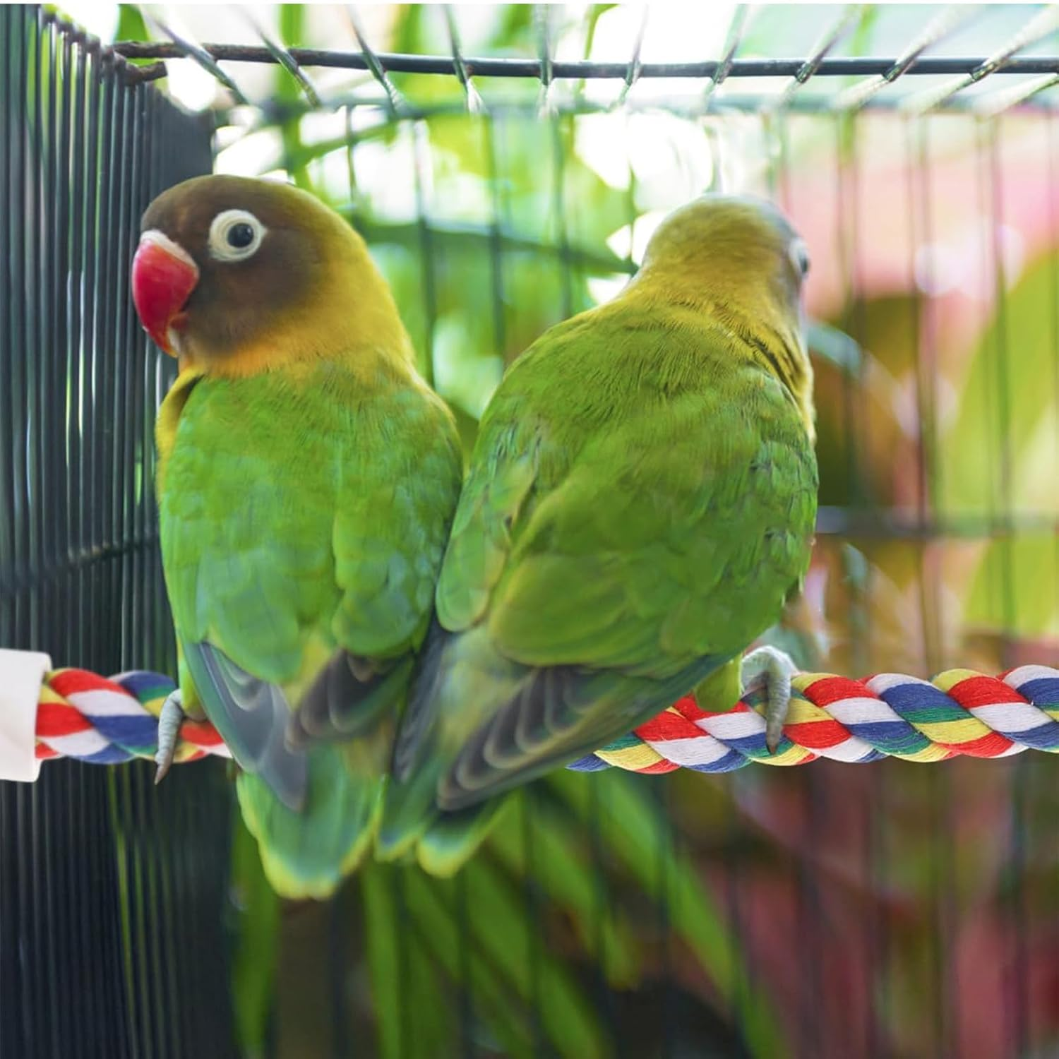 Dark Bird Rope Perch (1-Pack，31In) - Flexible and Bable Perch for Bungee Parrots, Parrots, Budgerigars, Steel Wire Supports and Easy-To-Install Cage Ropes image number 1