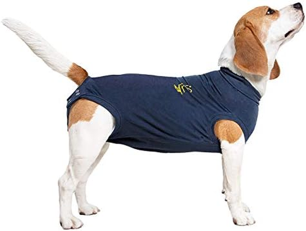 MPS Medical Pet Shirt Dog, Surgery Recovery Suit, Blue, Xxx-Small