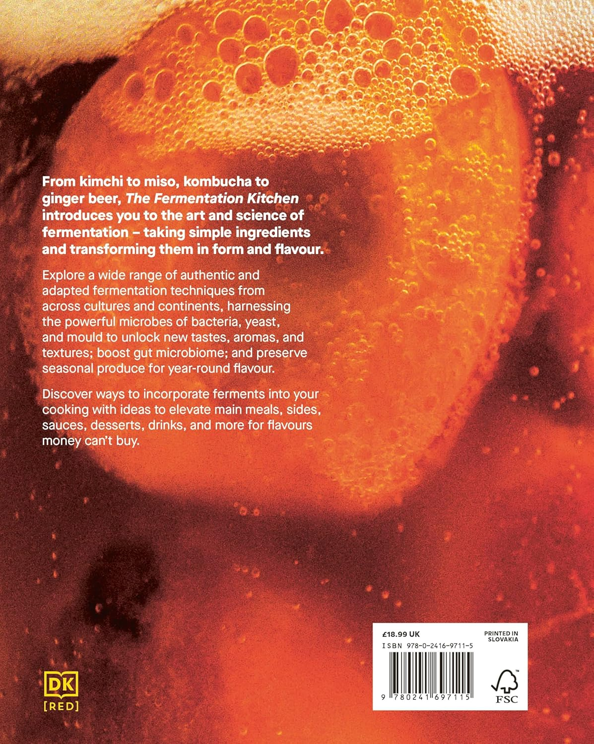 The Fermentation Kitchen: Recipes and Techniques for Kimchi, Kombucha, Koji and More image number 4