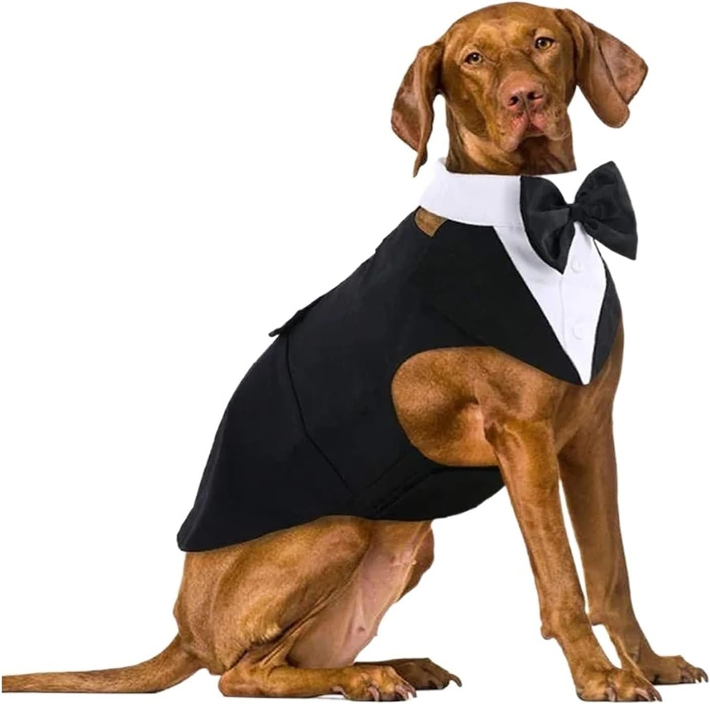 Dog Clothes Labrador Golden Retriever Suit Clothes Pug Dog Clothing Pet Costume Poodle Bulldog Dog Apparel Warm (Color : Black, Size : L)