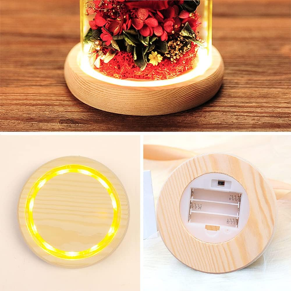 Fizozi-Eternal Rose Gift Set in Glass Dome - Red | Preserved Rose with LED Light | Valentine'S Day Her | Romantic Home Decor | Long-Lasting Beauty (Red) image number 1