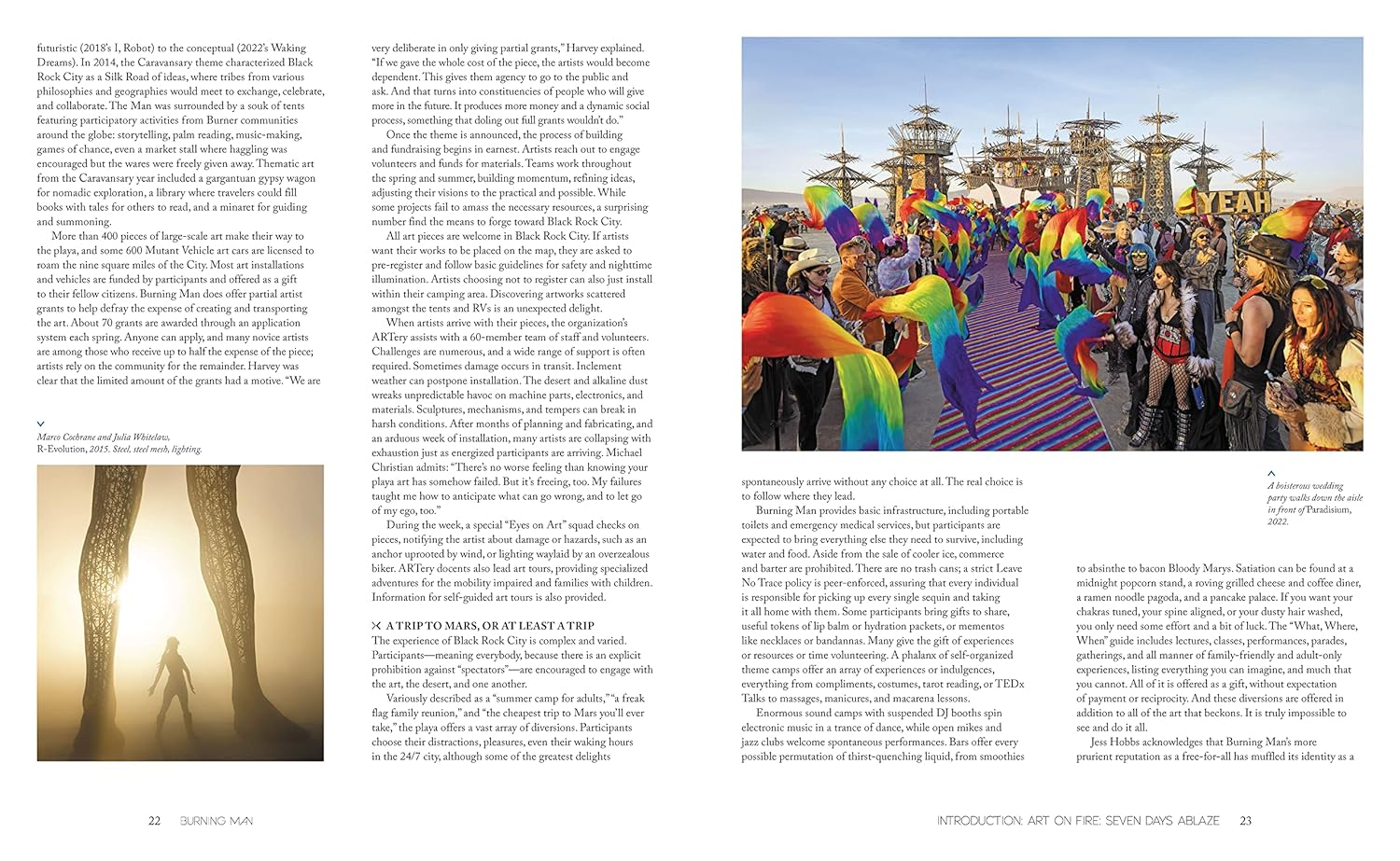 Burning Man: Art on Fire image number 4